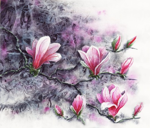 magnolia5mała.jpg