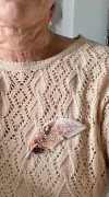 IMG_7926.jpeg